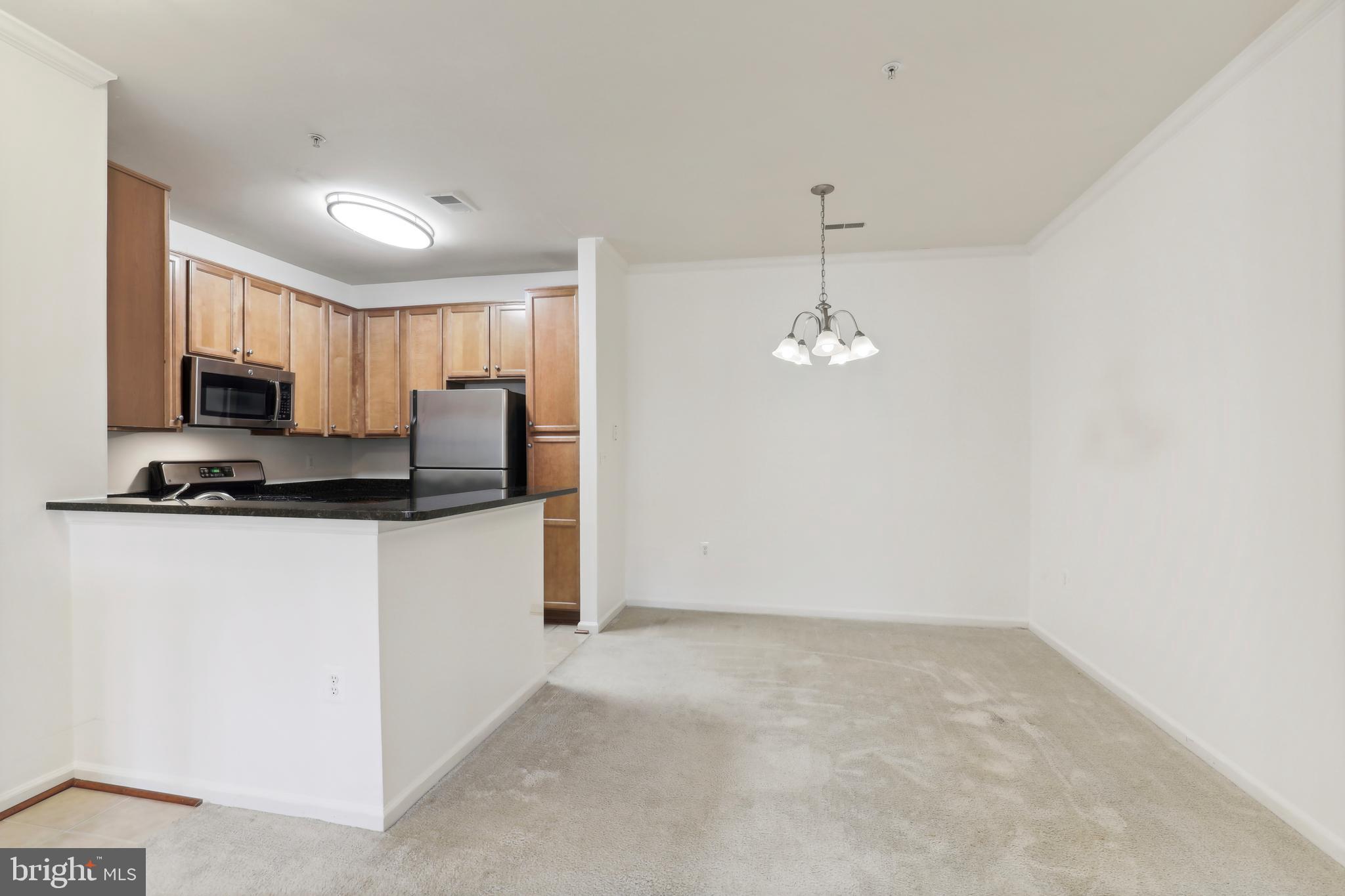 1505 North Point Drive, Unit 202 Reston, VA 20194 - Photo 3 of 12 Kitchen/Dinning
