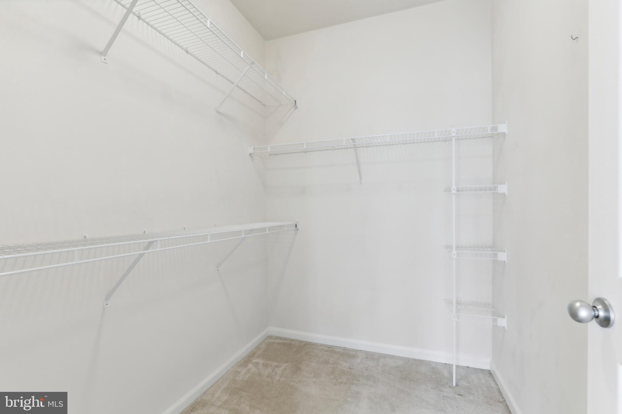 1505 North Point Drive, Unit 202 Reston, VA 20194 - Photo 7 of 12 Primary Suite Walk-in