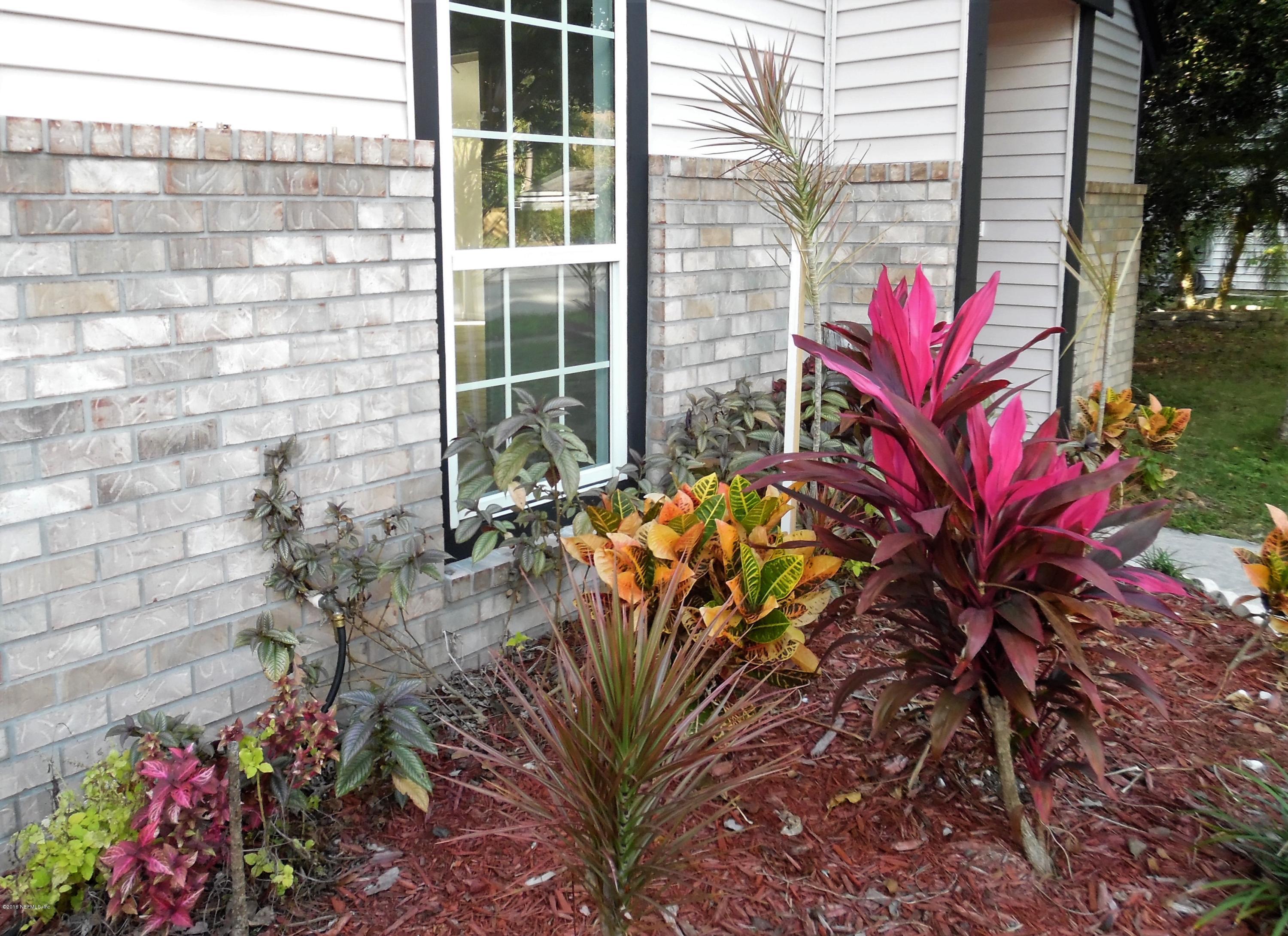 10244 Pine Breeze Road South Jacksonville, FL 32257 - Photo 21 of 27 a view of a potted plant with sign of a front of it