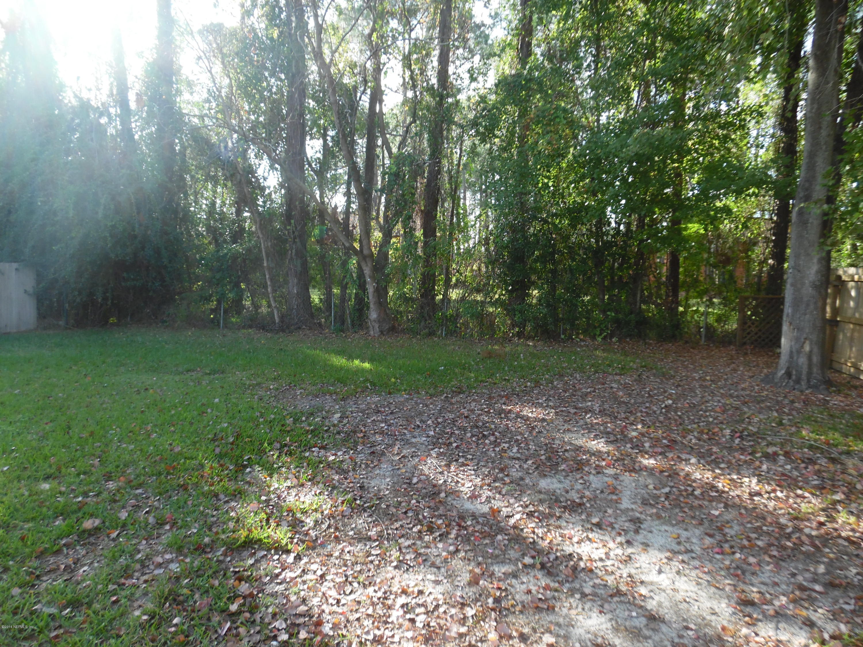 10244 Pine Breeze Road South Jacksonville, FL 32257 - Photo 5 of 27 a view of a forest with trees in the background