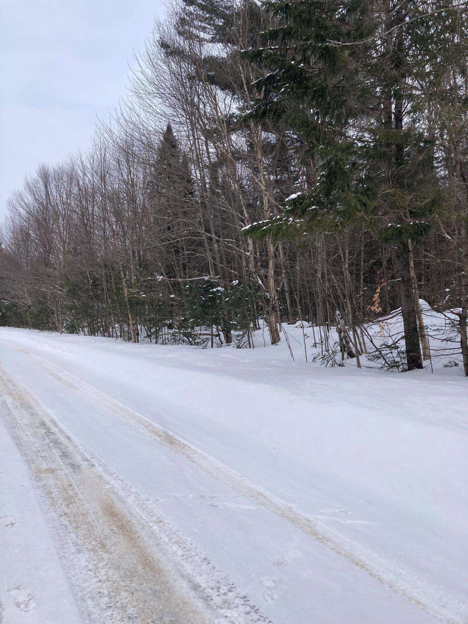 0 Walkerville Road North Bangor, NY 12966 - Photo 1 of 5 Land