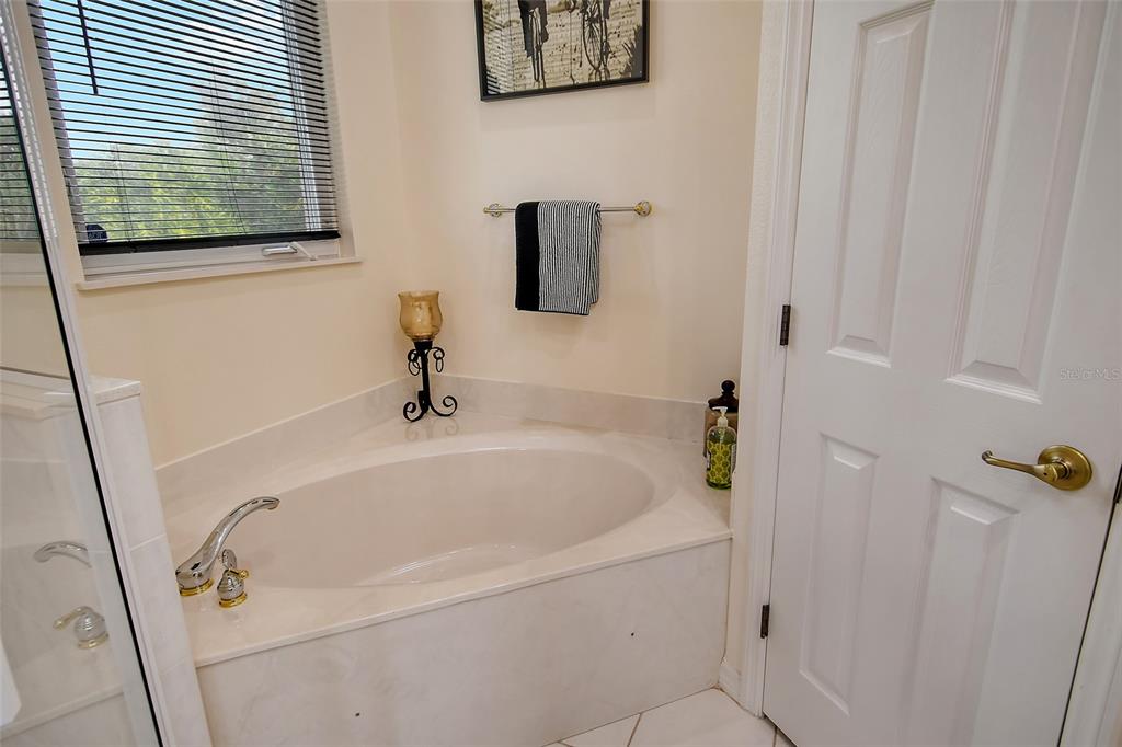6504 Copper Ridge Trail Bradenton, FL 34201 - Photo 24 of 55 Soaking tub