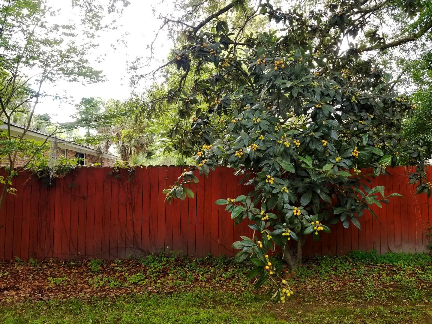 1939 Campion Hall Road Charleston, SC 29407 - Photo 32 of 40 28