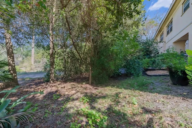 a view of a tree in front of a house