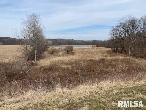 $1,550,000 | 21634 North 1050th Street, Hidalgo, IL 62432