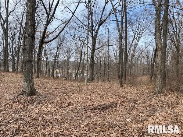 $1,550,000 | 21634 North 1050th Street, Hidalgo, IL 62432