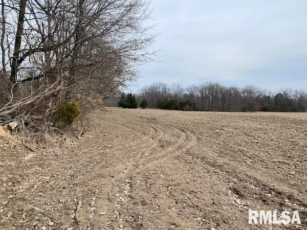 $1,550,000 | 21634 North 1050th Street, Hidalgo, IL 62432