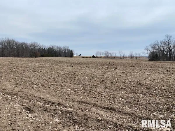 $1,550,000 | 21634 North 1050th Street, Hidalgo, IL 62432