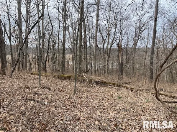 $1,550,000 | 21634 North 1050th Street, Hidalgo, IL 62432