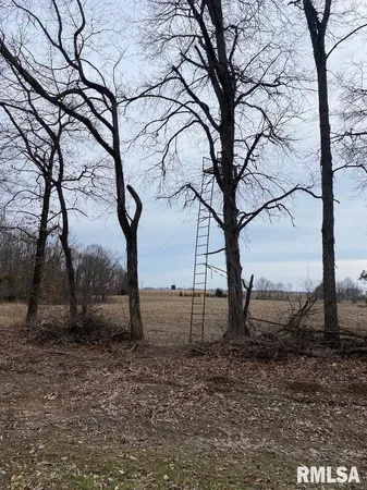 $1,550,000 | 21634 North 1050th Street, Hidalgo, IL 62432