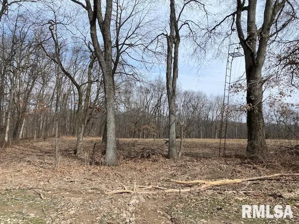 $1,550,000 | 21634 North 1050th Street, Hidalgo, IL 62432