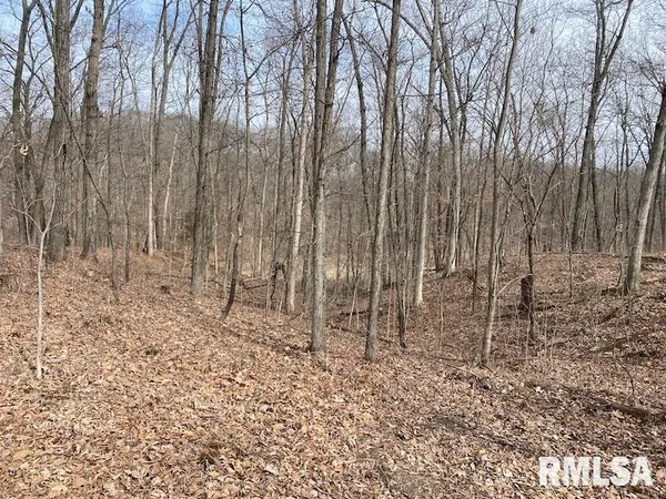 $1,550,000 | 21634 North 1050th Street, Hidalgo, IL 62432