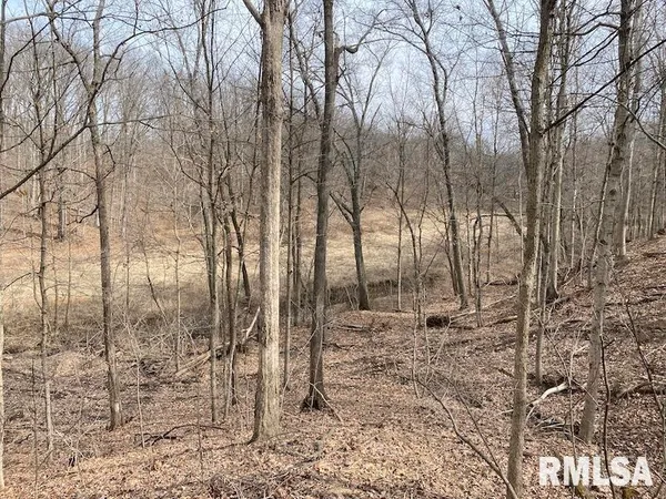 $1,550,000 | 21634 North 1050th Street, Hidalgo, IL 62432