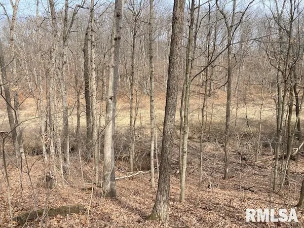 $1,550,000 | 21634 North 1050th Street, Hidalgo, IL 62432