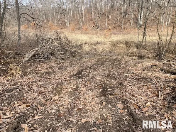 $1,550,000 | 21634 North 1050th Street, Hidalgo, IL 62432