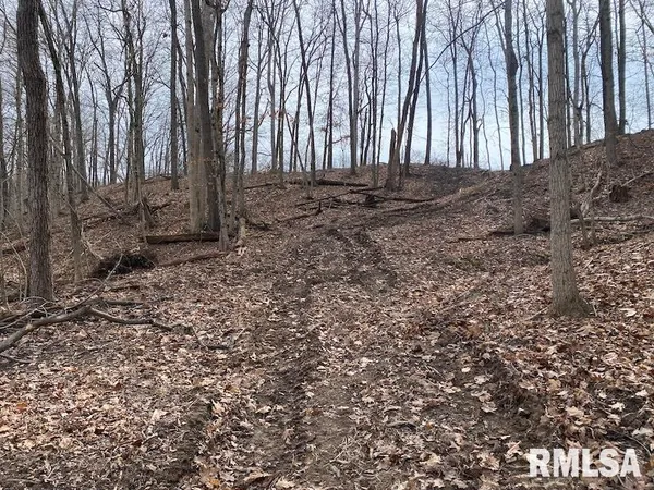 $1,550,000 | 21634 North 1050th Street, Hidalgo, IL 62432