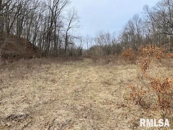 $1,550,000 | 21634 North 1050th Street, Hidalgo, IL 62432