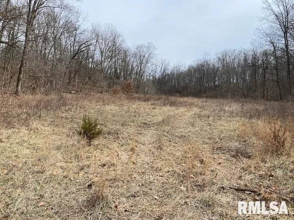 $1,550,000 | 21634 North 1050th Street, Hidalgo, IL 62432