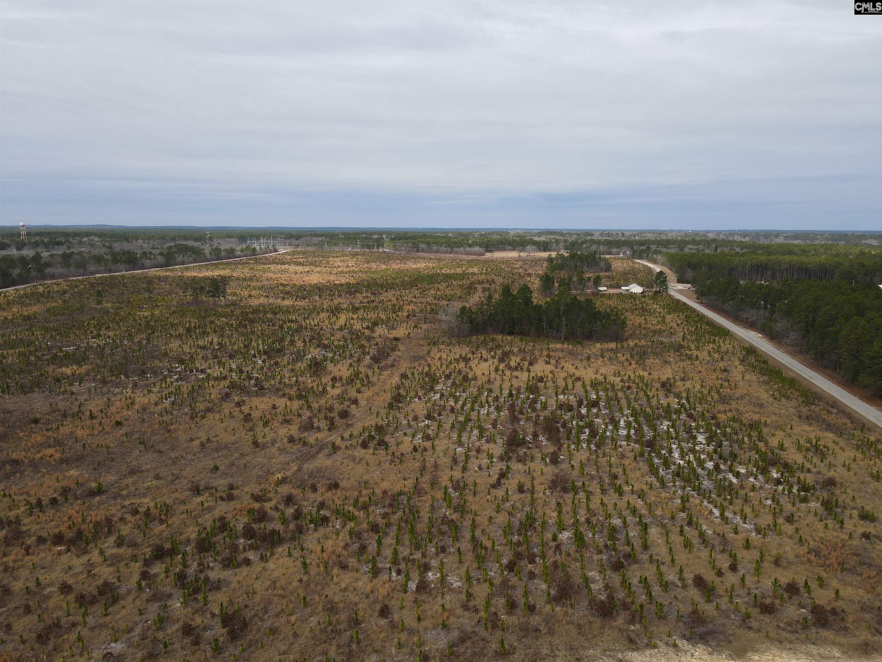 19 Holland Road Lugoff, SC 29078 - Photo 11 of 14