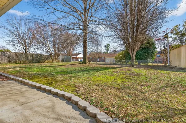a view of a yard with a large tree
