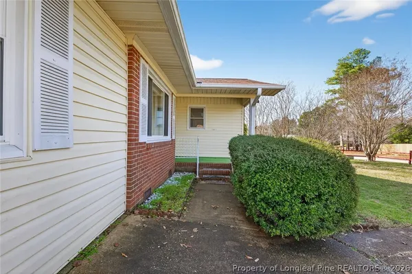 a view of a backyard with plants
