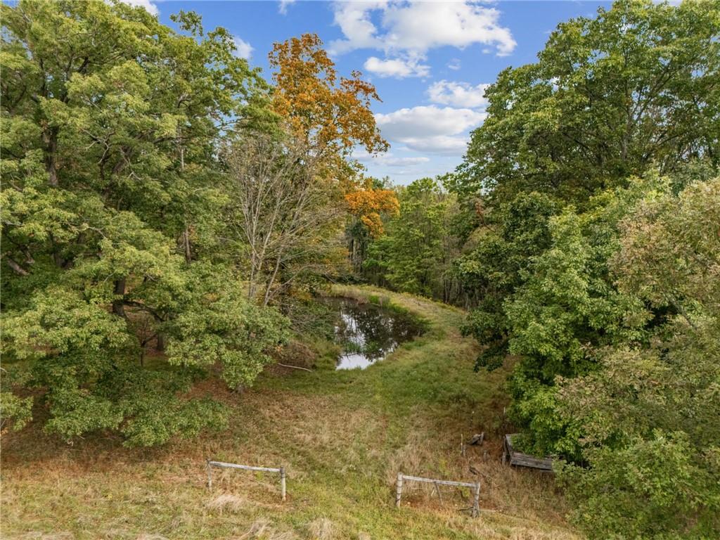 2 Deerfield Lane Indiana, PA 15701 - Photo 3 of 43 a view of a forest with a houses