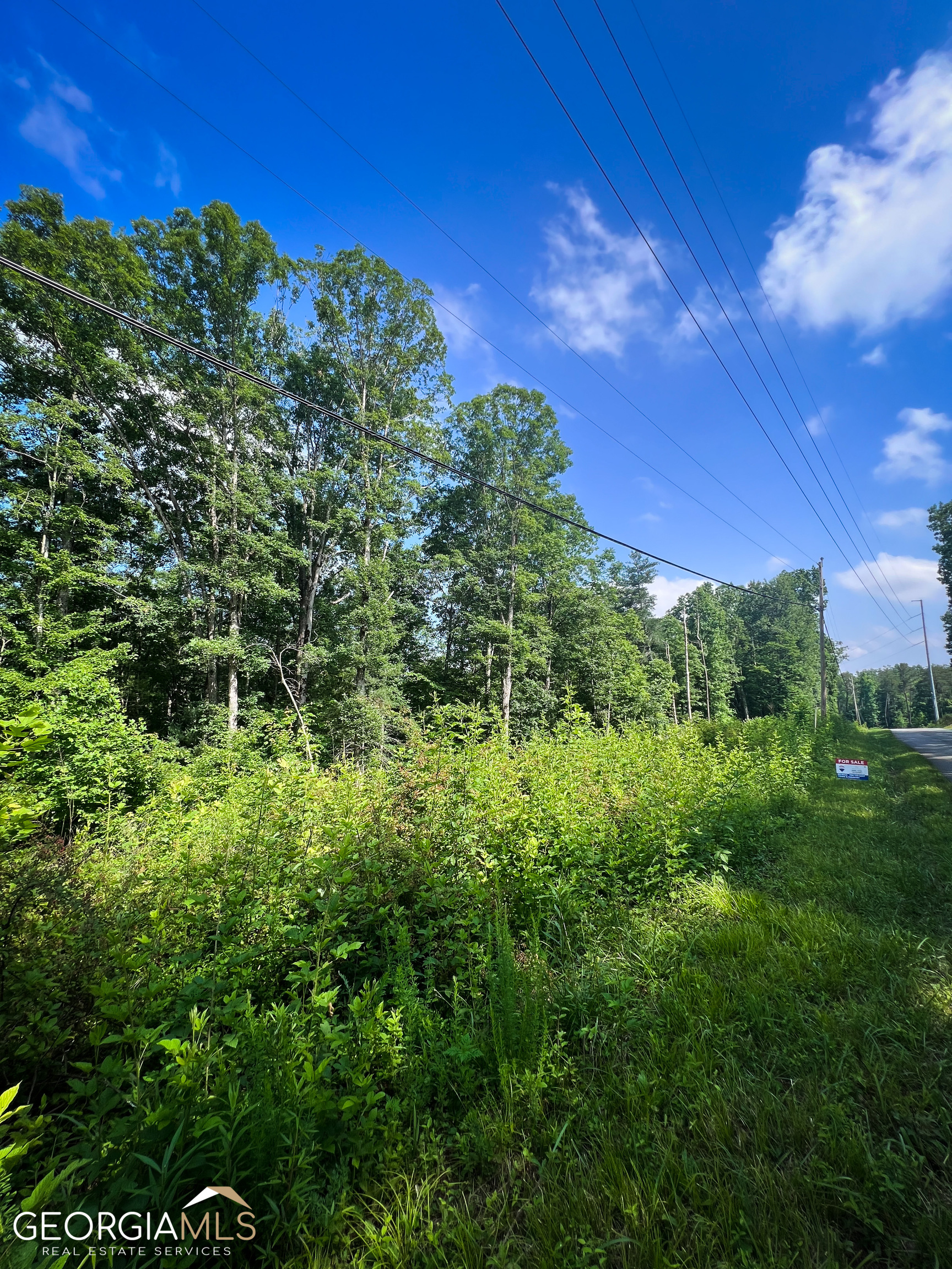 4.23-acres Lower Tails Creek Road Ellijay, GA 30540 - Photo 1 of 1 Gallery Image 1