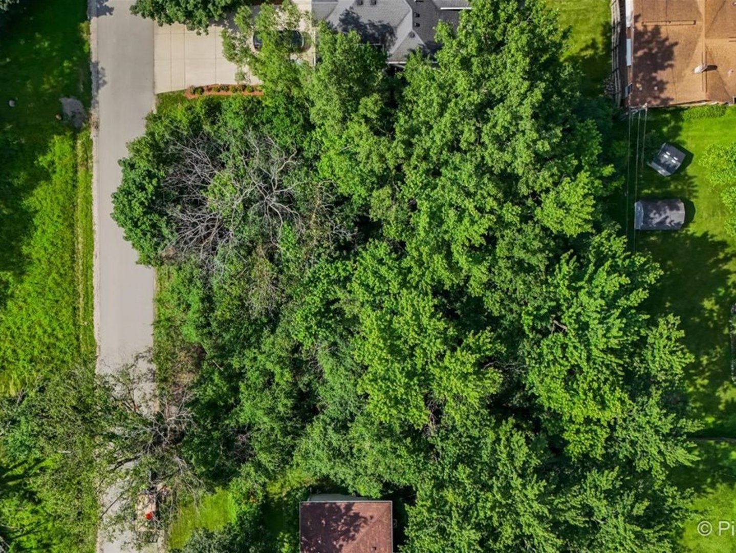 4 N Niles Avenue Addison, IL 60101 - Photo 11 of 22