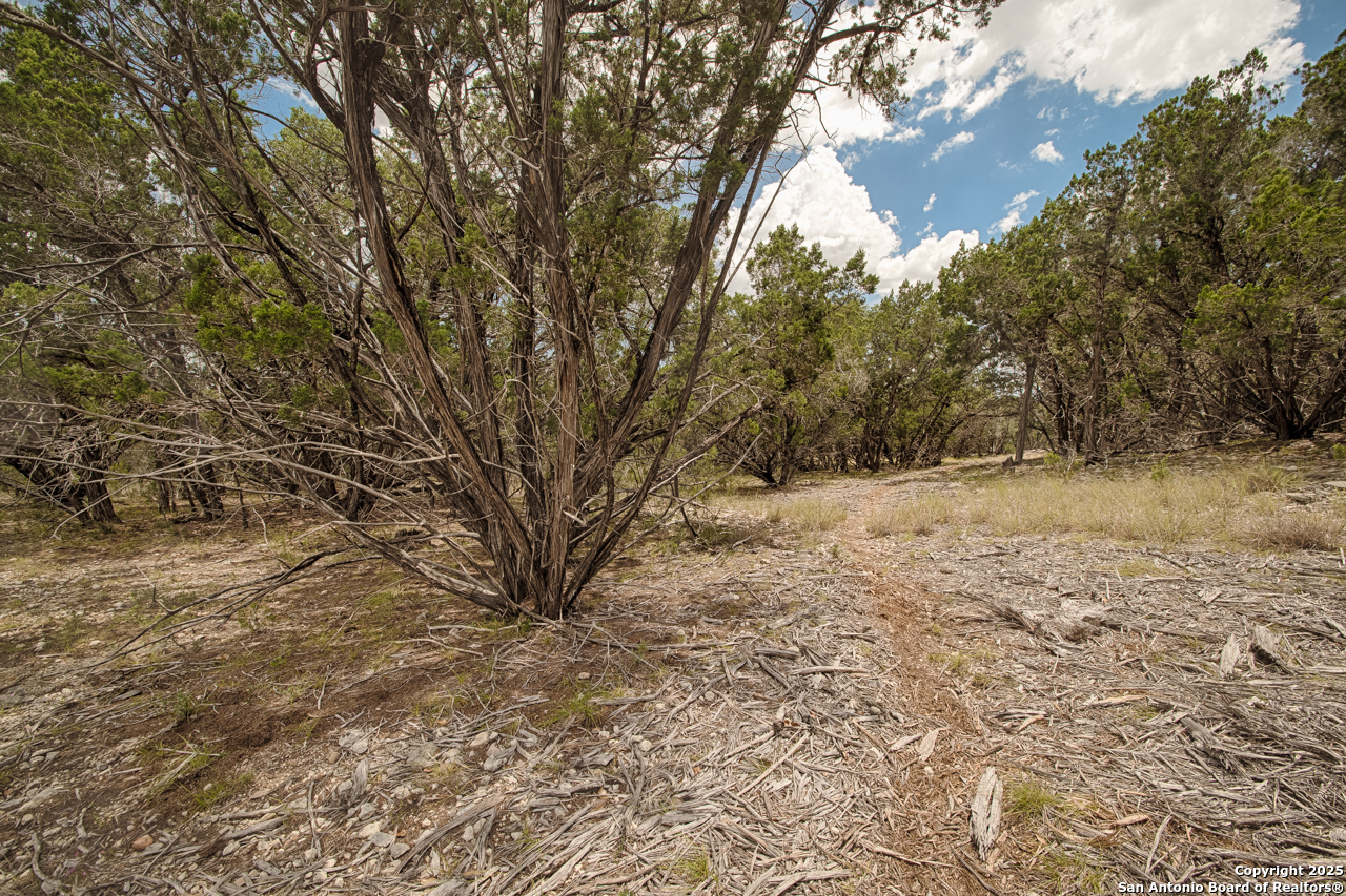 Tbd English Crossing Bandera, TX 78003 - Photo 11 of 18 a view of snow on the side of a road