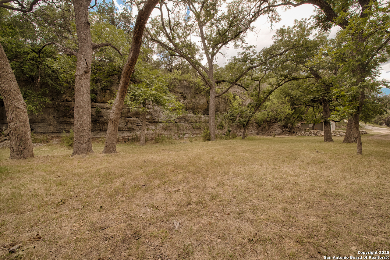 Tbd English Crossing Bandera, TX 78003 - Photo 15 of 18 a view of backyard with large trees