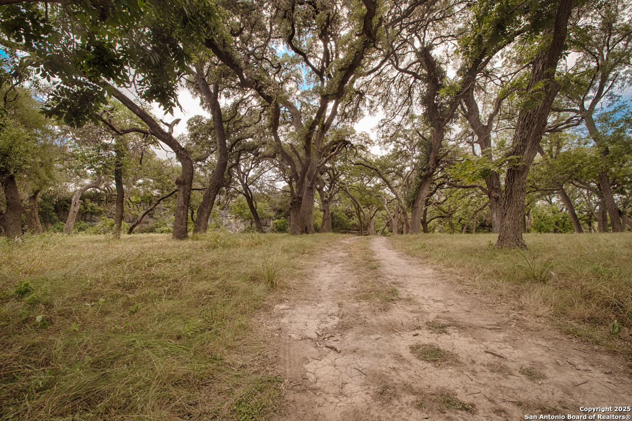 Tbd English Crossing Bandera, TX 78003 - Photo 17 of 18 a view of yard covered with trees