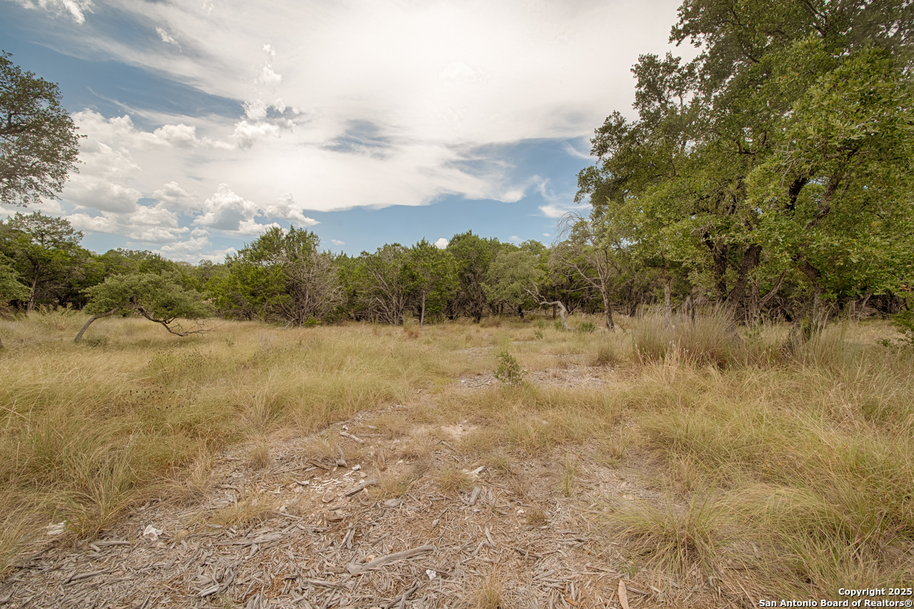 Tbd English Crossing Bandera, TX 78003 - Photo 3 of 18 a view of a lake view