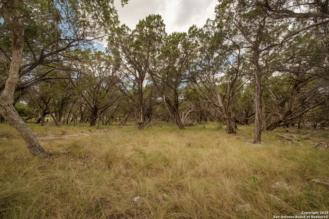 Tbd English Crossing Bandera, TX 78003 - Photo 4 of 18 a view of empty room