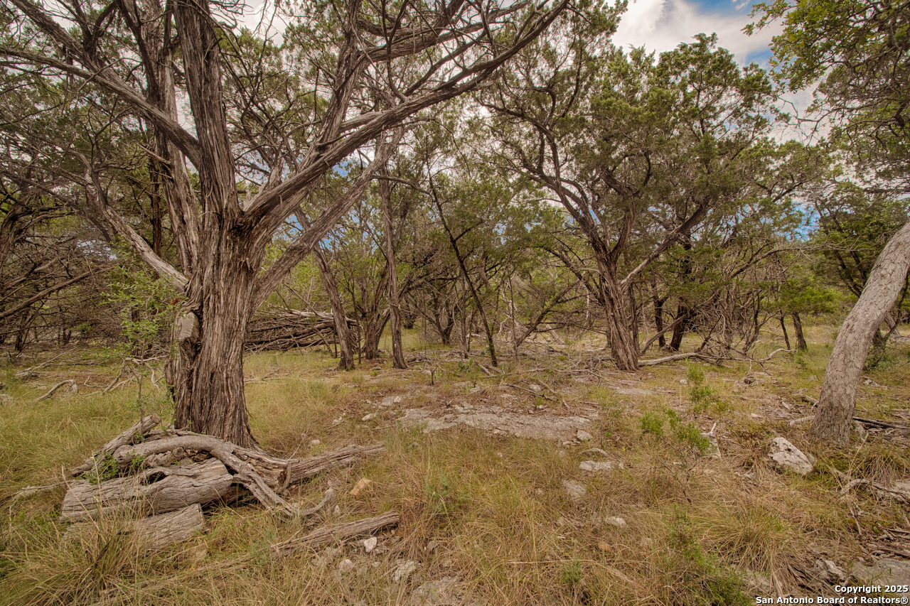 Tbd English Crossing Bandera, TX 78003 - Photo 5 of 18 a view of open space with green space