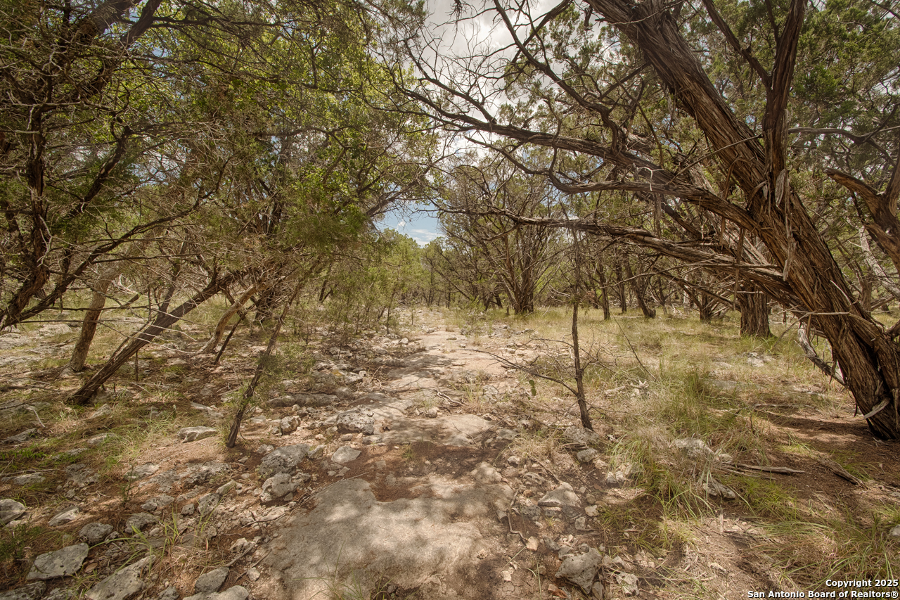 Tbd English Crossing Bandera, TX 78003 - Photo 6 of 18 a view of a yard with large trees