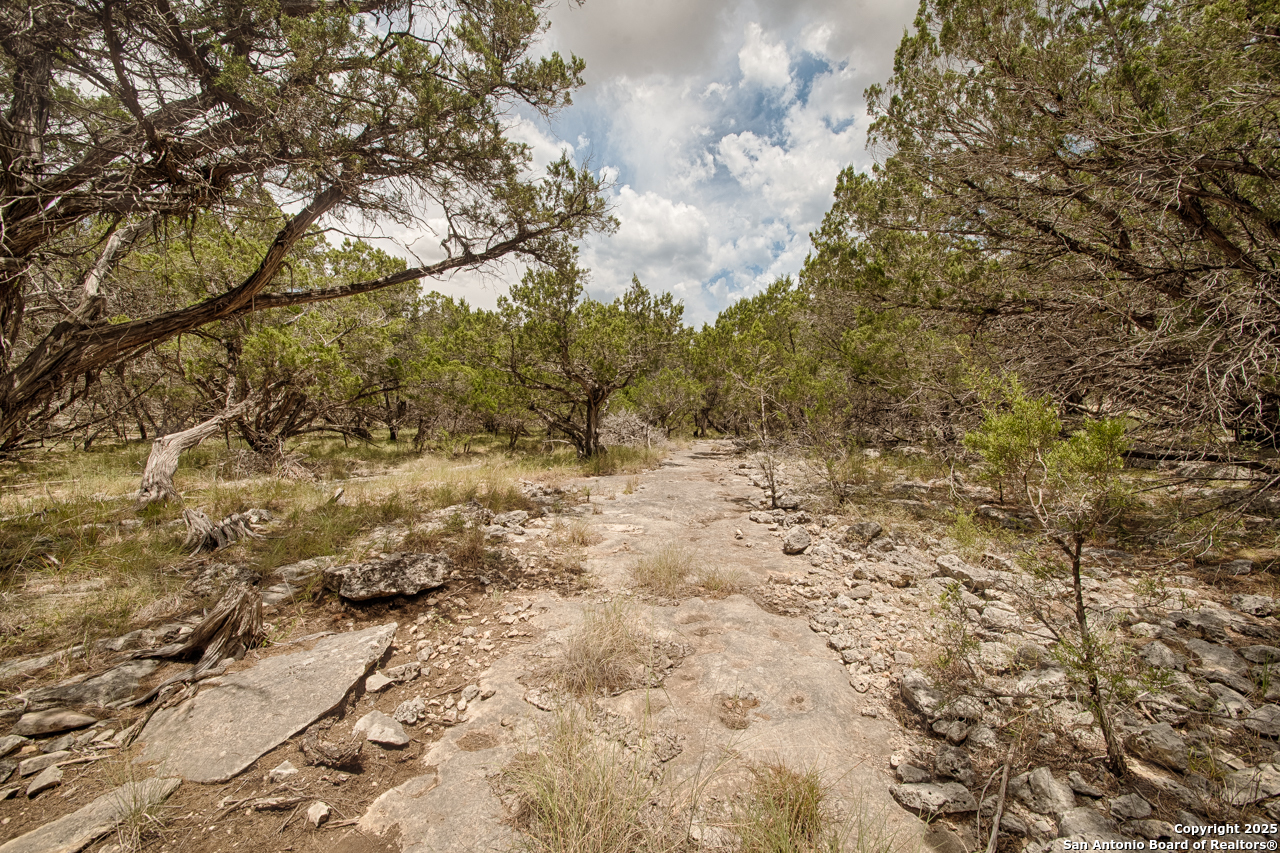 Tbd English Crossing Bandera, TX 78003 - Photo 7 of 18 a view of a yard with a tree