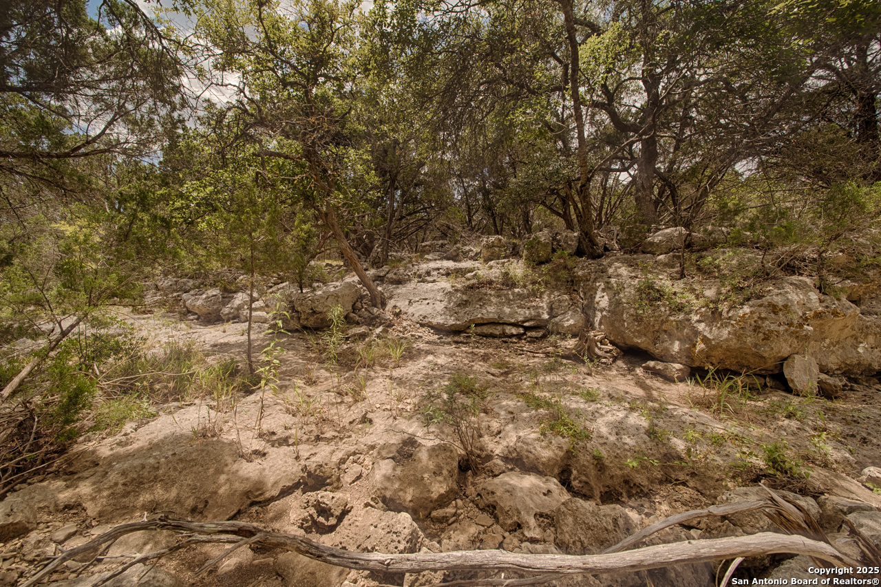Tbd English Crossing Bandera, TX 78003 - Photo 8 of 18