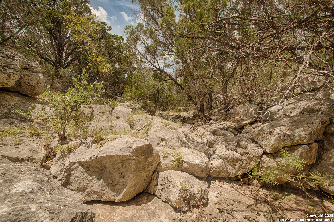 Tbd English Crossing Bandera, TX 78003 - Photo 9 of 18 a view of a dry yard with wooden fence and trees