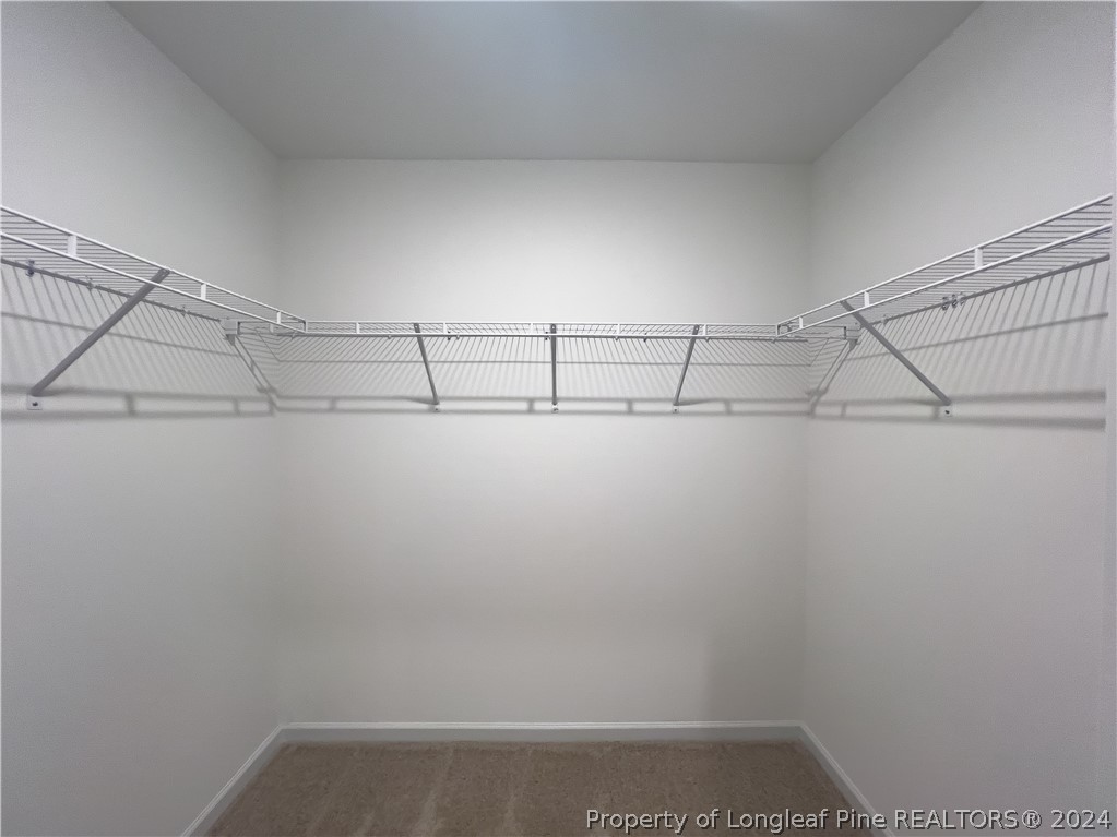 4861 Blue Springs Road Red Springs, NC 28377 - Photo 17 of 32 Gallery Image 17