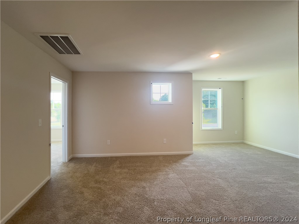 4861 Blue Springs Road Red Springs, NC 28377 - Photo 19 of 32 Gallery Image 19