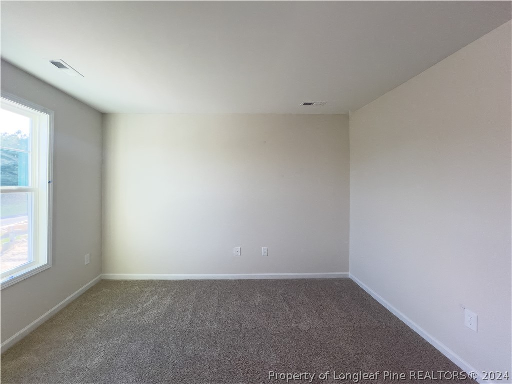 4861 Blue Springs Road Red Springs, NC 28377 - Photo 20 of 32 Gallery Image 20