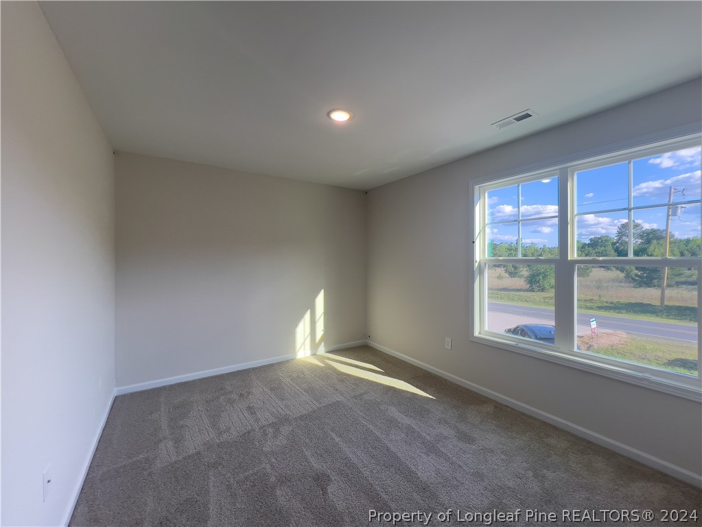 4861 Blue Springs Road Red Springs, NC 28377 - Photo 21 of 32 Gallery Image 21