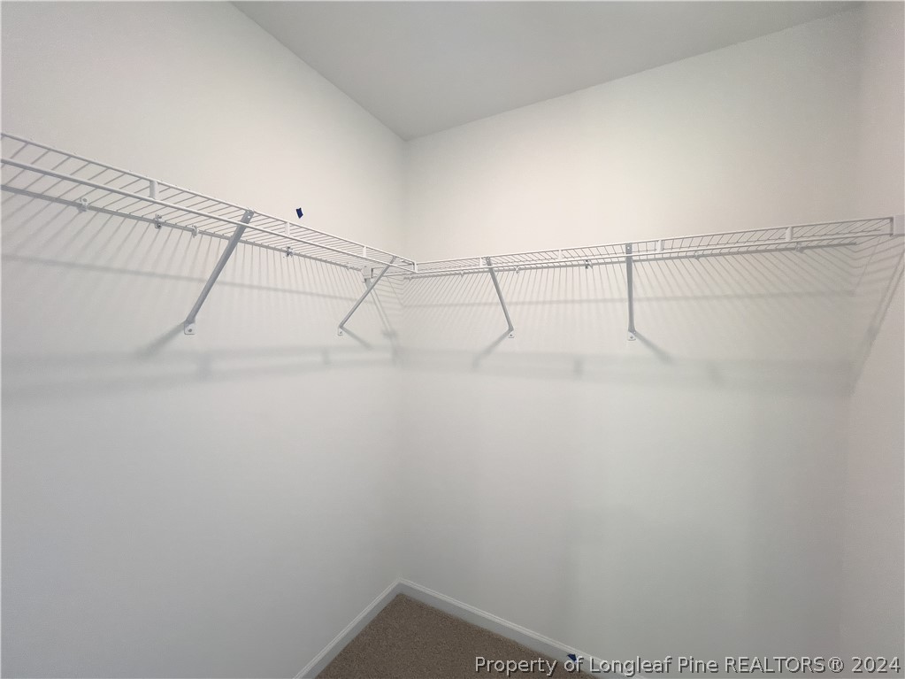 4861 Blue Springs Road Red Springs, NC 28377 - Photo 23 of 32 Gallery Image 23