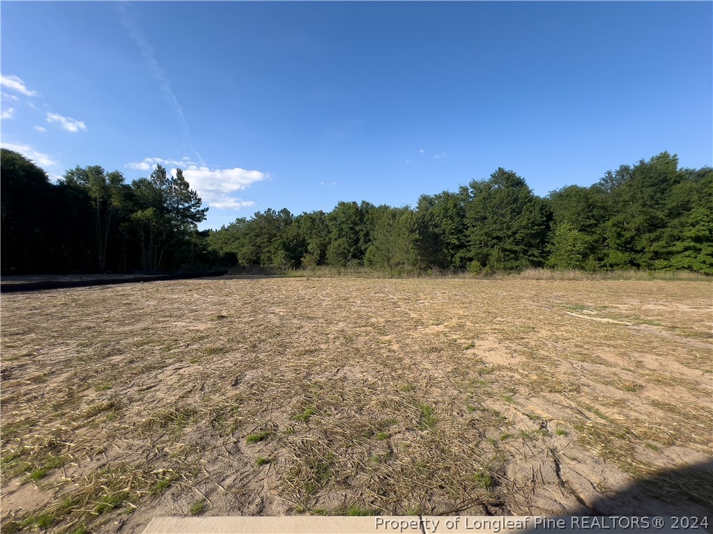 4861 Blue Springs Road Red Springs, NC 28377 - Photo 7 of 32 Gallery Image 7