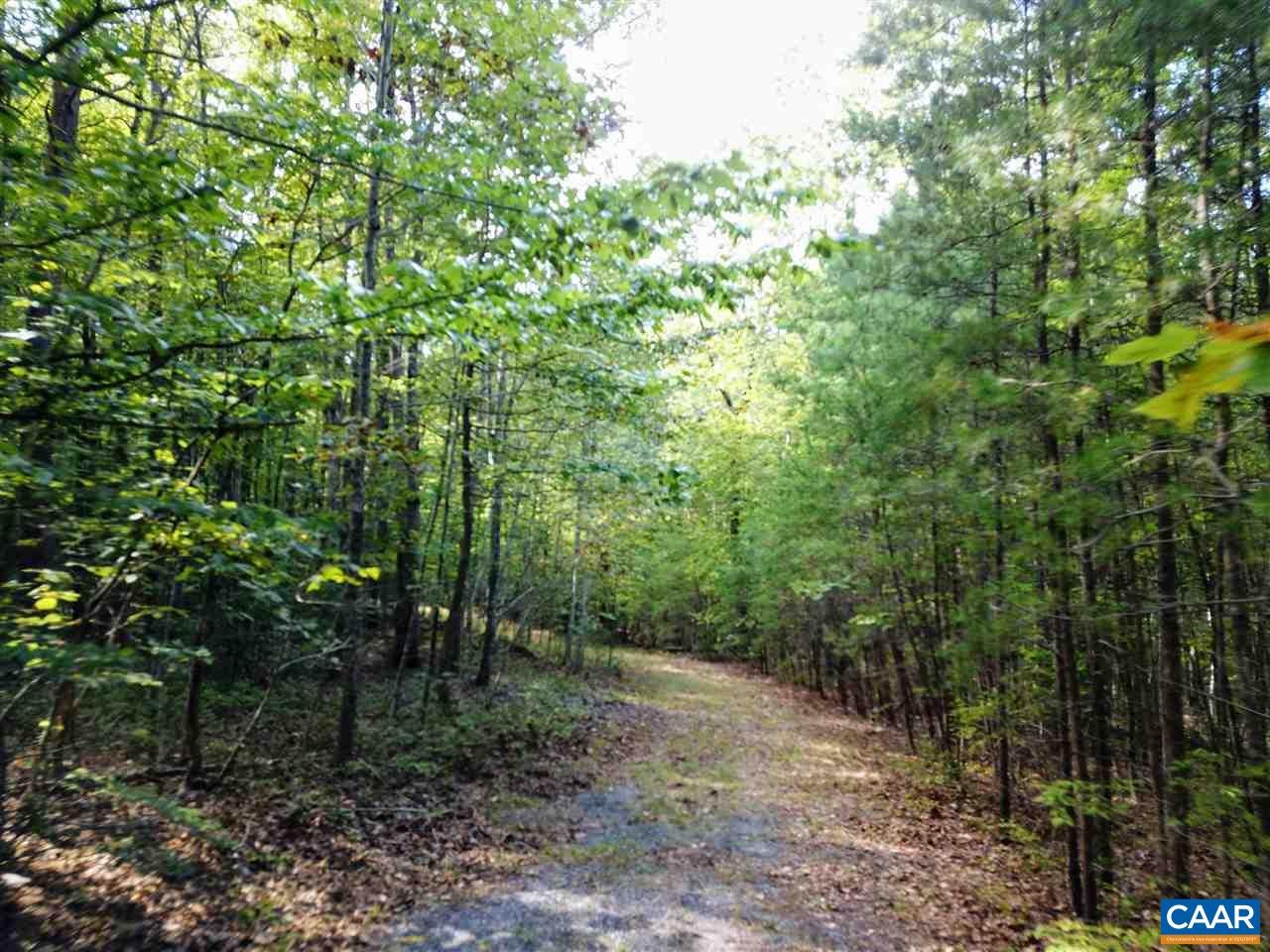 Tba Lot 2 Tba Route South Dillwyn, VA 23936 - Photo 31 of 39 Gallery Image 31