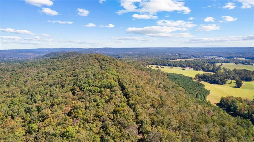 5225 Chalybeate Springs Road Woodland, GA 31836 - Photo 34 of 100