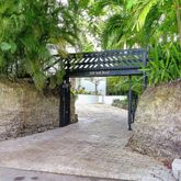 a street sign under a large tree