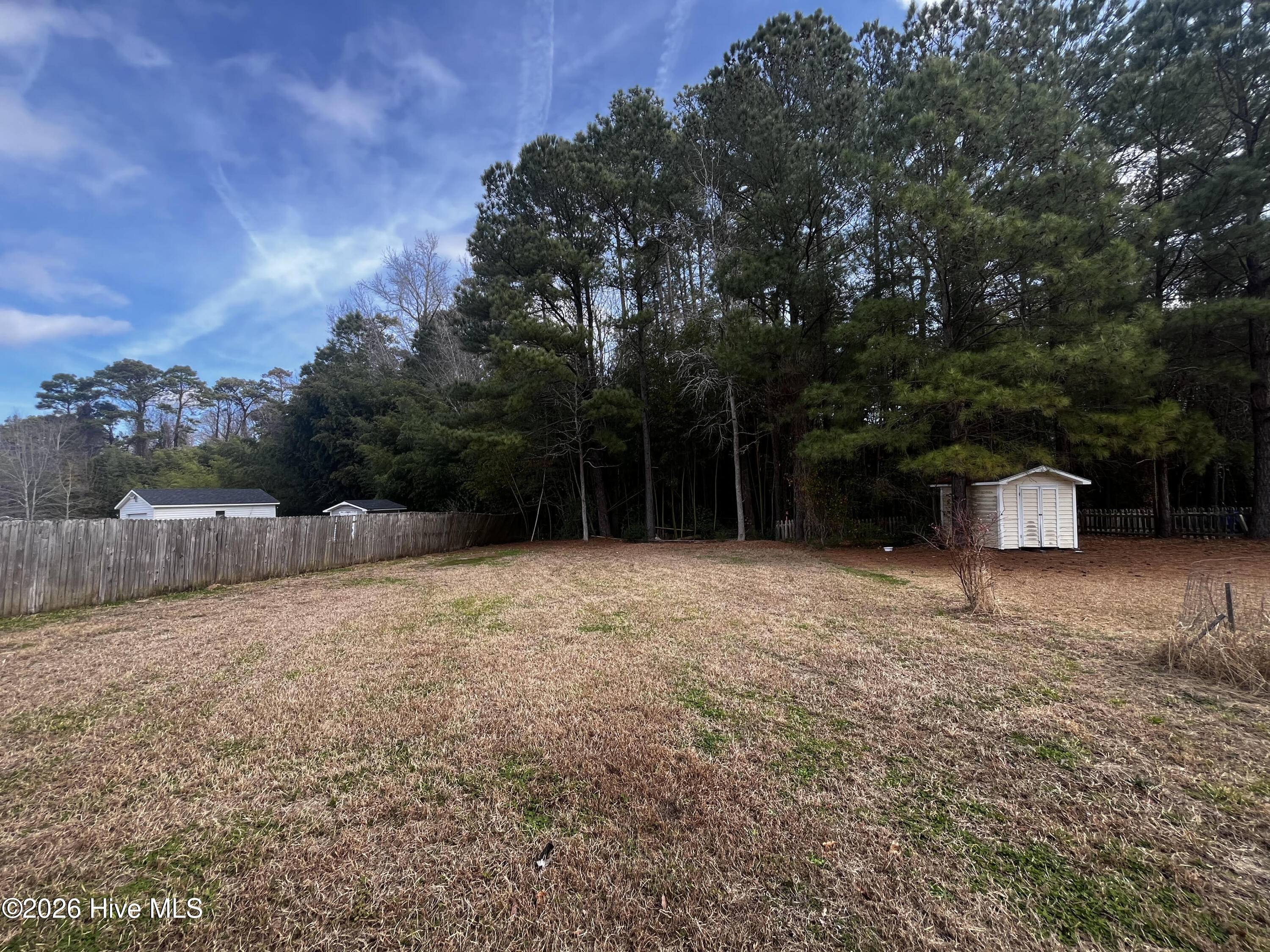 313 Church Road Havelock, NC 28532 - Photo 11 of 11 Backyard