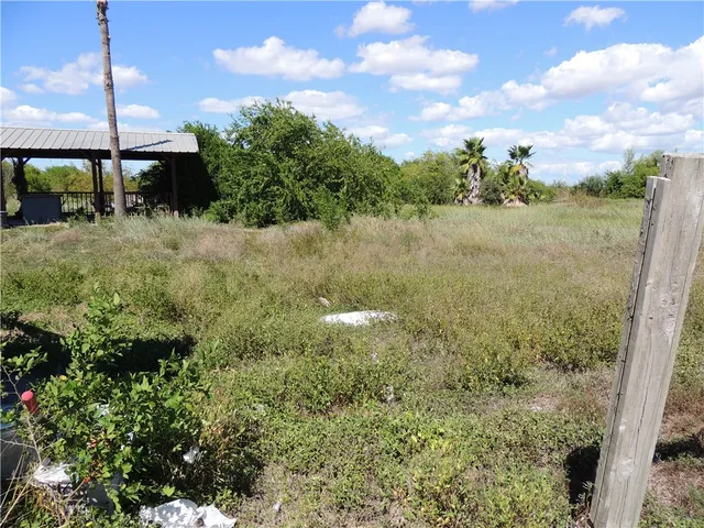 a view of a garden from a corridor
