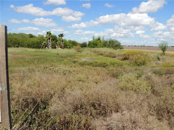 a view of a garden with a fountain